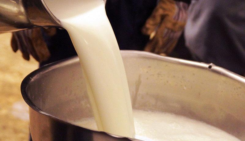 احتمال افزایش قیمت شیر خام در هفته آینده