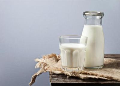 همه چیز راجع به رژیم لاغری شیر