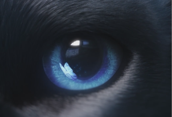 اولین گوشی مجهز به لنز چشم گربه ای جهان