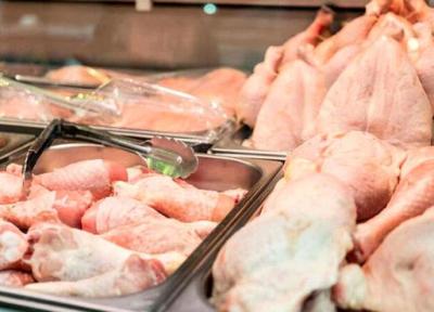 هر کیلو مرغ زنده و گرم چند؟ ، پیش بینی قیمت مرغ در بازار